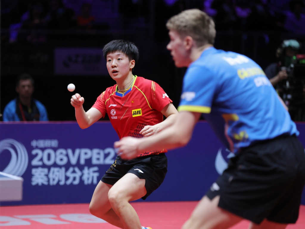 塔特姆冷静 塔特姆冷静